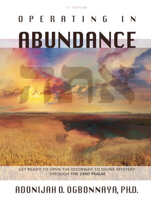 cover image of Operating in Abundance